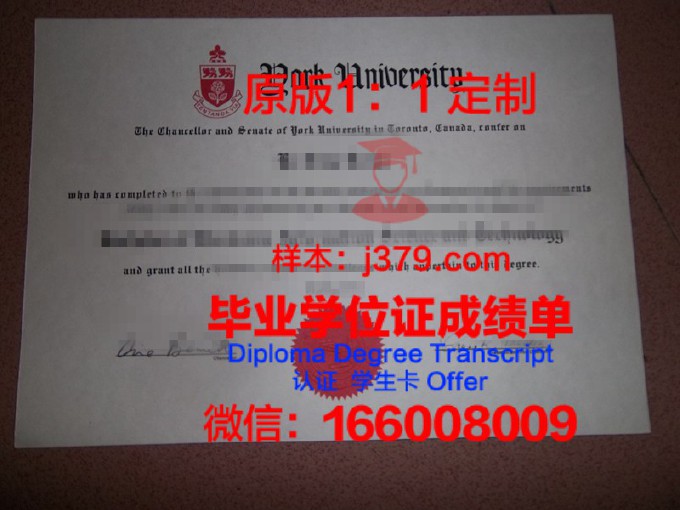 喀山国立大学毕业证模板(国际学院的毕业证)