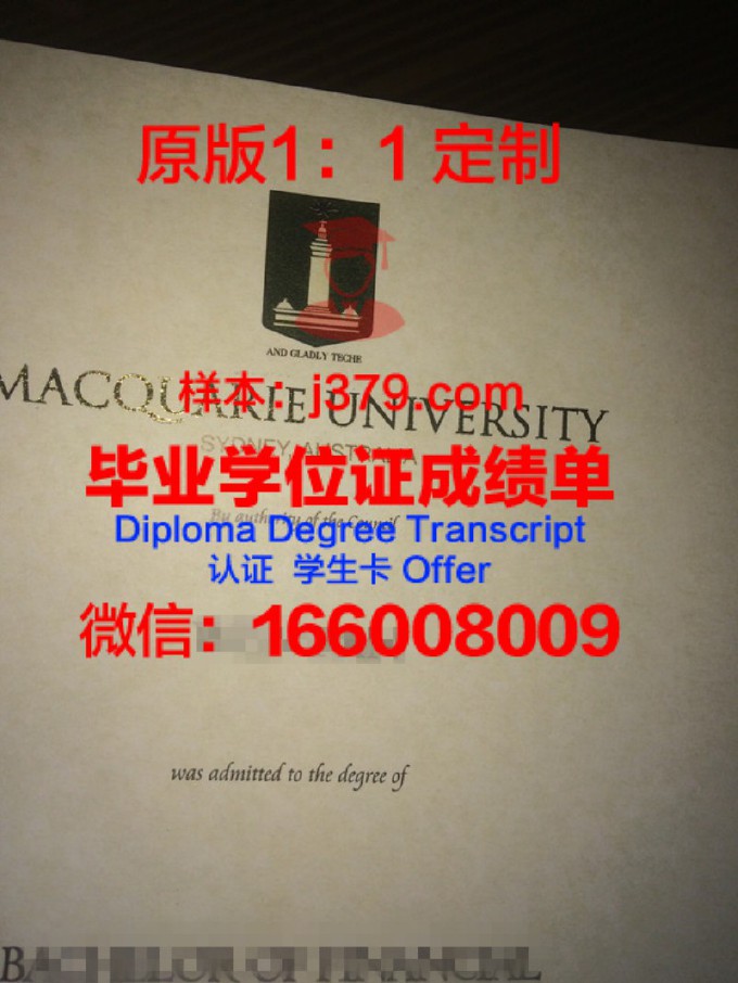 麦考瑞大学硕士毕业证书样本(麦考瑞大学研究生难毕业吗)