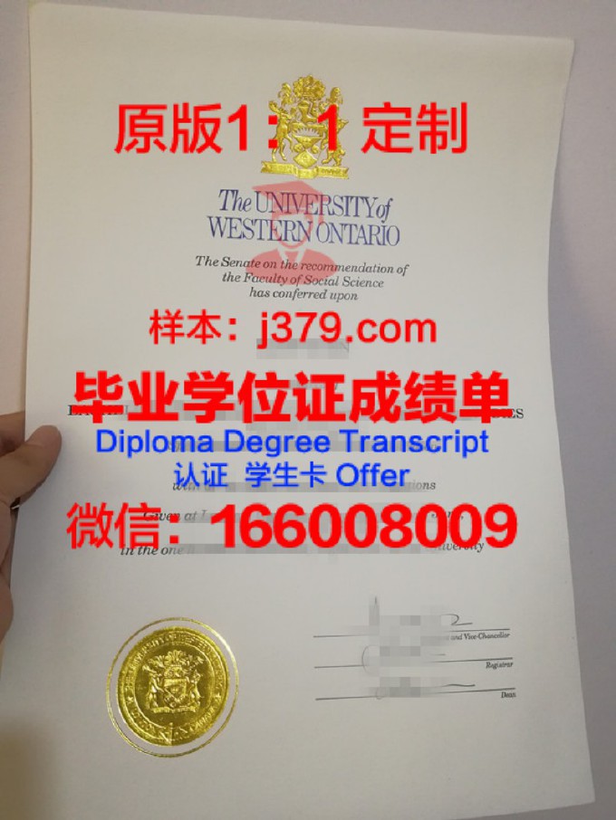 西安大略大学diploma证书(西安大略大学aeo)