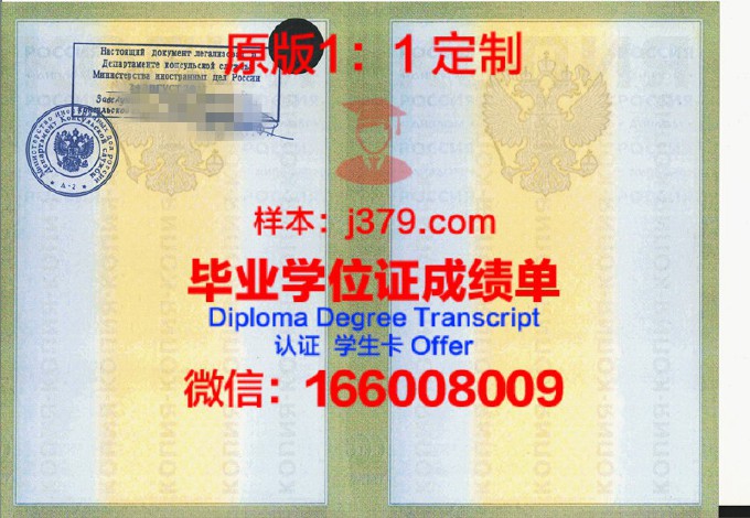 莫斯科金融与法律学院diploma证书(莫斯科大学经济学院)