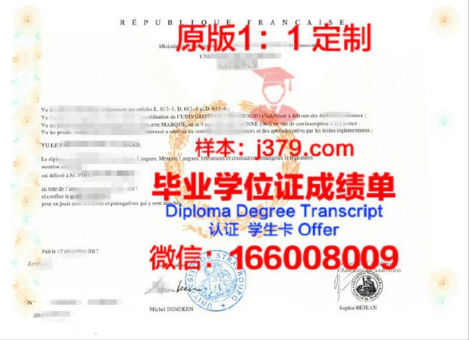 斯特拉斯堡大学欧洲化学聚合物与材料学院学位证(斯特拉斯堡大学硕士)