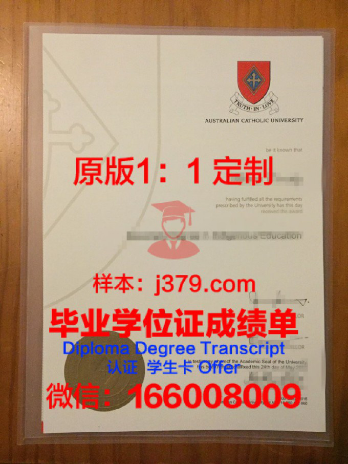 多特蒙德大学毕业证样本(多特蒙德大学世界排名)