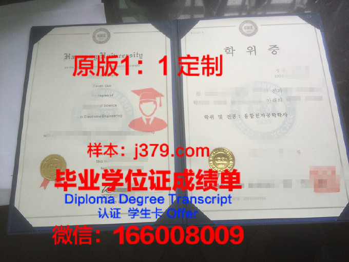 维戈大学学位证书(维戈大学学位证书图片)