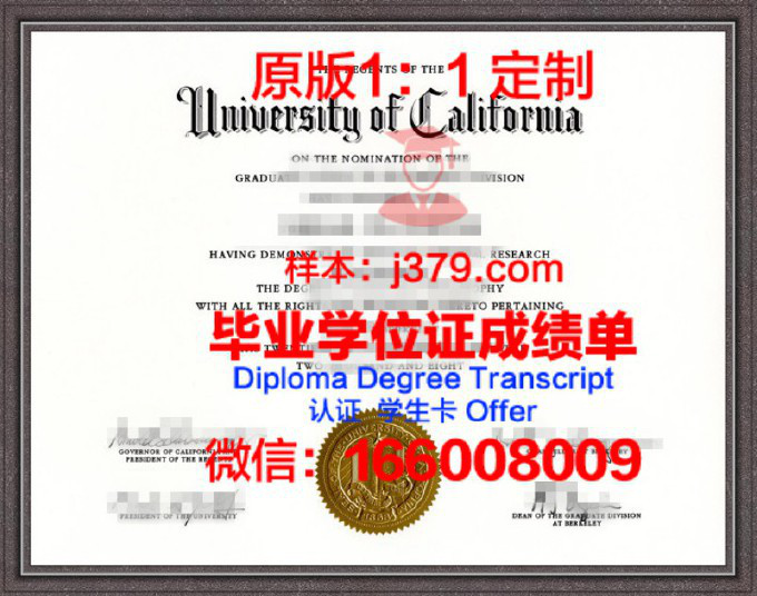 加州大学伯克利分校diploma证书(加州大学伯克利分校offer图片)