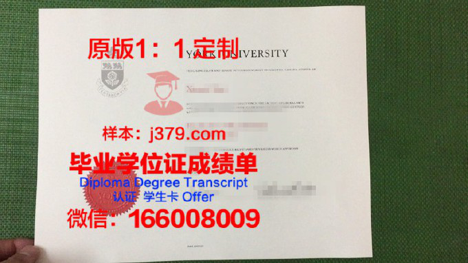 加拿大约克大学毕业证样子(加拿大约克大学本科申请条件)