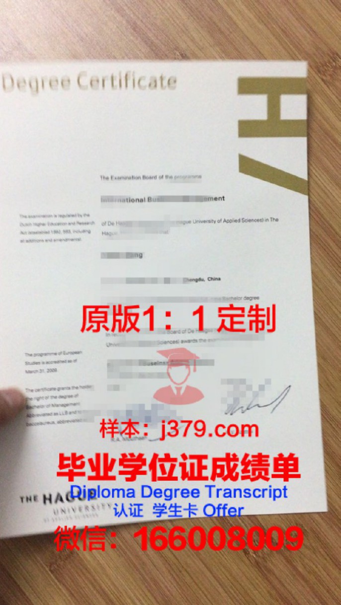 汉恩应用科学大学毕业证diploma