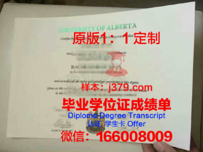 阿尔格西大学芝加哥分校毕业证diploma