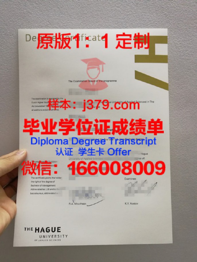 荷兰阿姆斯特丹商学院毕业证diploma