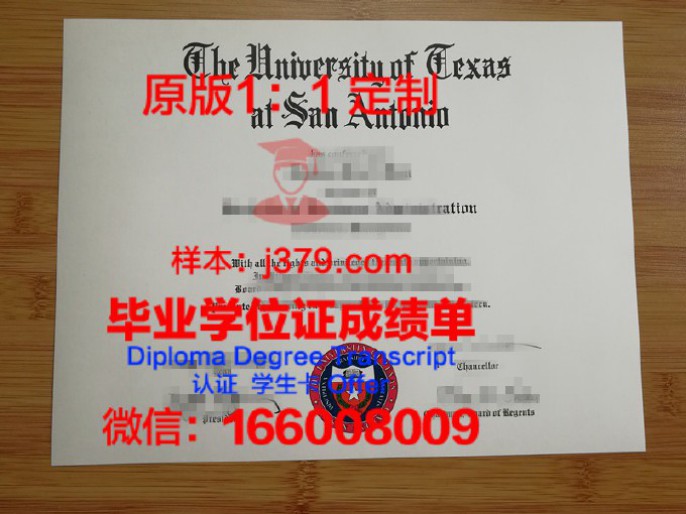 德克萨斯大学奥斯汀分校相当于中国什么等级的大学？