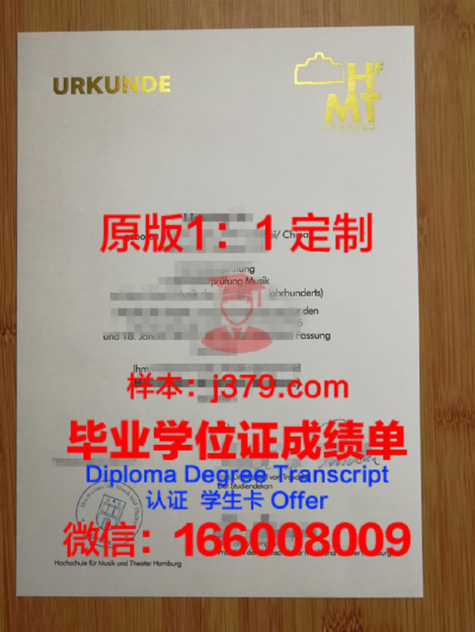 汉堡U硕士毕业证——德国高等教育的一张金色名片