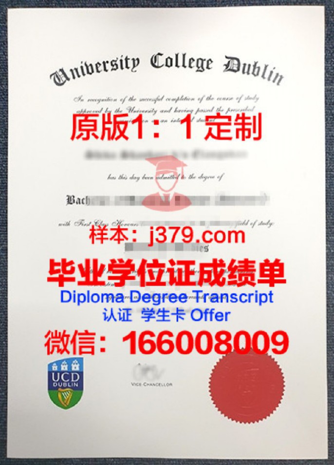 爱尔兰都柏林理工学院毕业证diploma