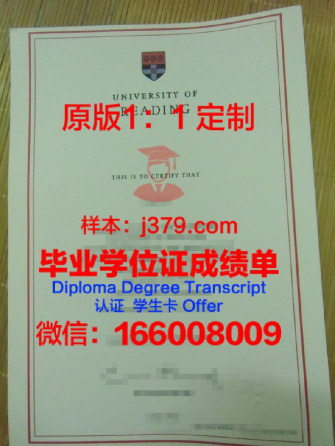 雷丁大学博士毕业证：开启学术与职业新篇章的钥匙