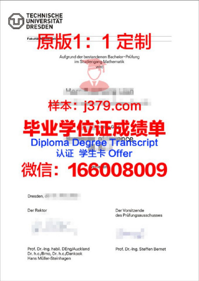 德累斯顿工业大学毕业证diploma