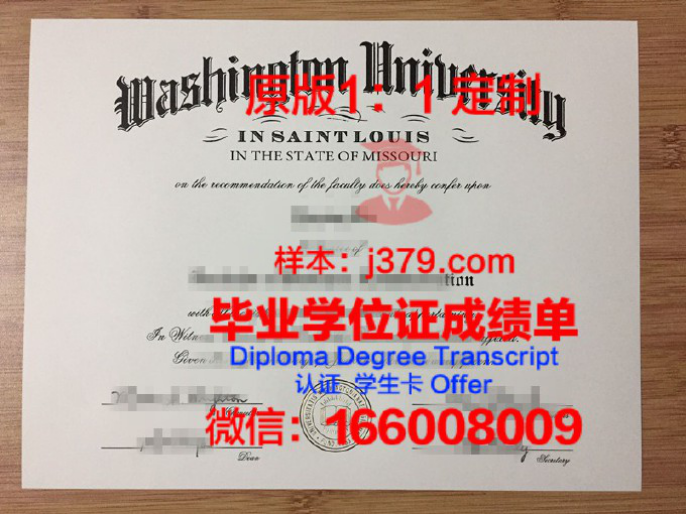 圣路易斯马利维尔大学毕业证图片Maryville University of Saint Louis Diploma