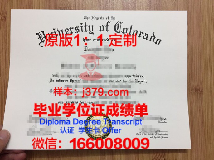 梅西大学毕业证diploma