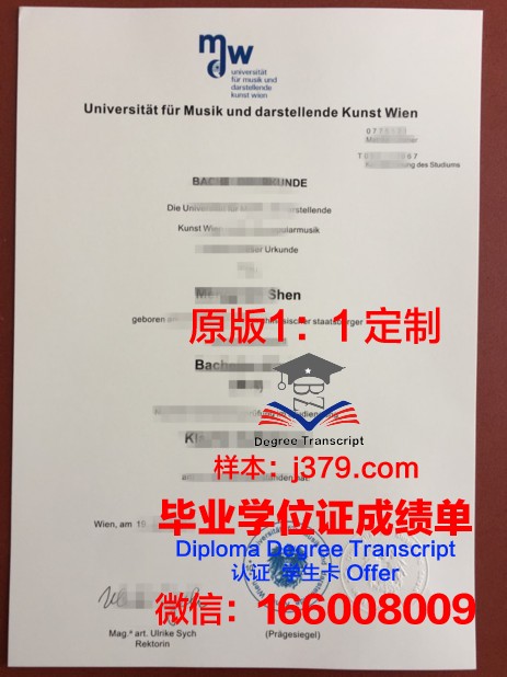 维也纳应用艺术大学成绩单(维也纳艺术学院落榜考生)