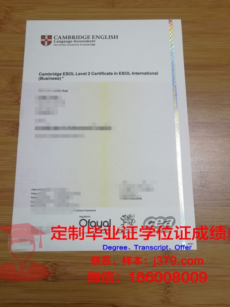 宇都宫大学毕业证书图片模板(宇都宫北高校)