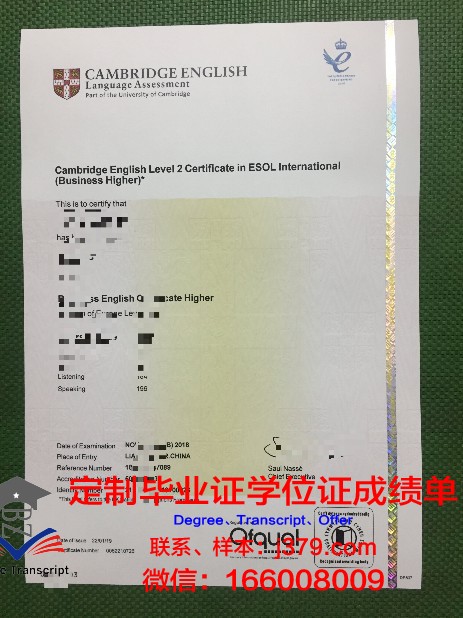 锡根大学毕业证书图片模板(锡根大学毕业证书图片模板大全)