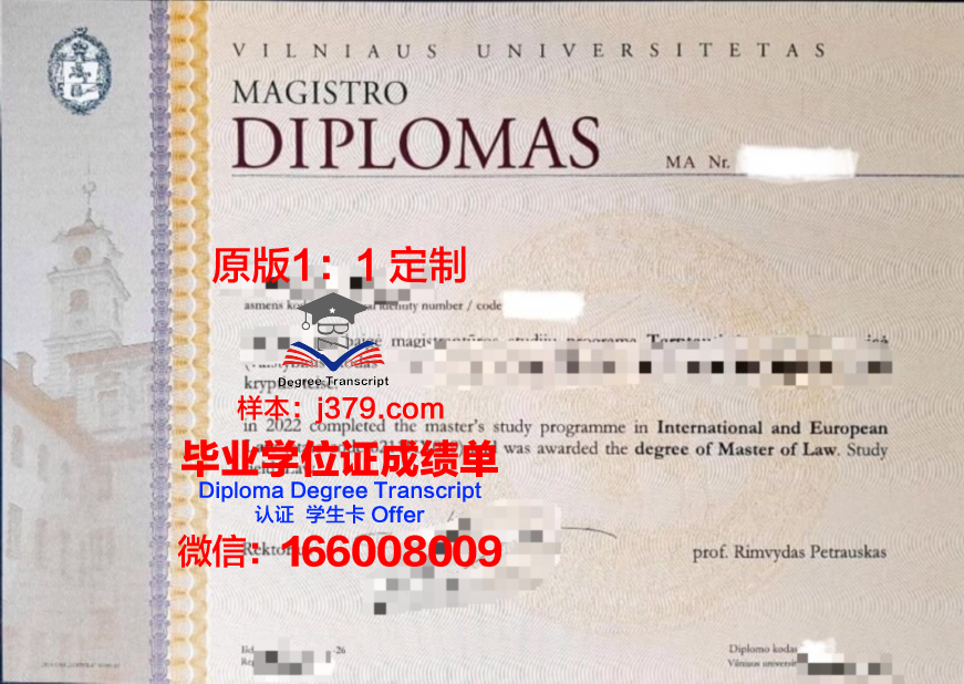 维尔纽斯大学博士毕业证：一份跨越国界的学术荣耀