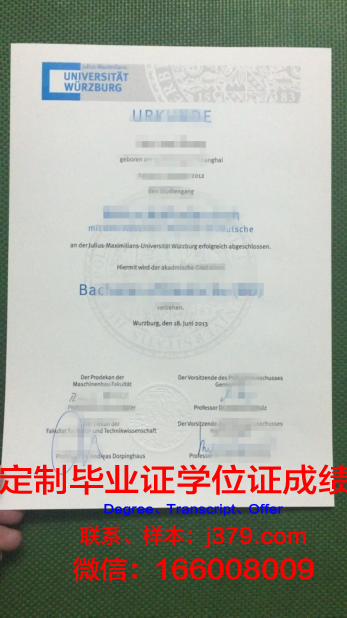 维尔茨堡大学成绩单：一份跨越时空的学术荣耀