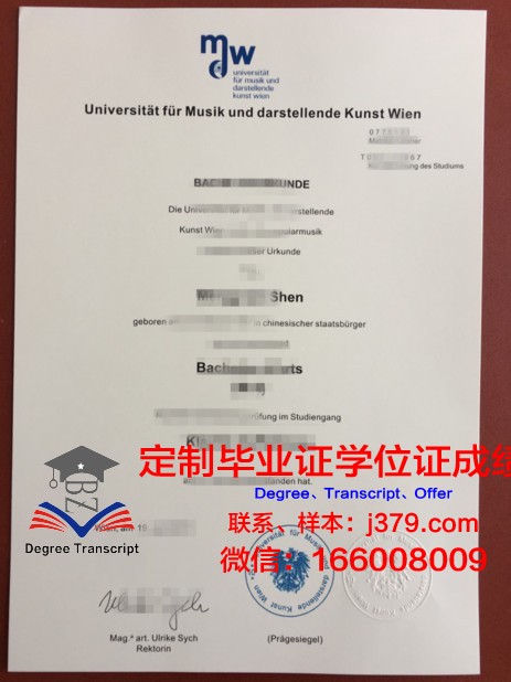 维也纳造型艺术学院学位成绩单定制：艺术与品质的完美结合