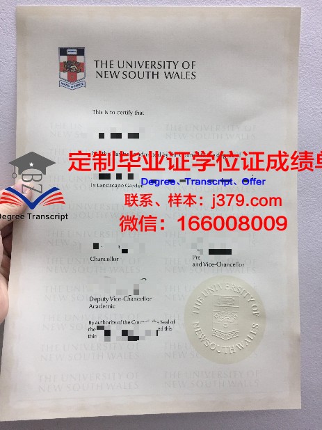 金迪奥大学毕业证尺寸