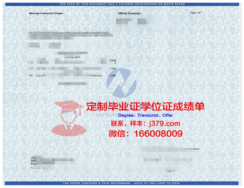 宾根应用技术大学学位成绩单定制：专业与严谨的完美结合