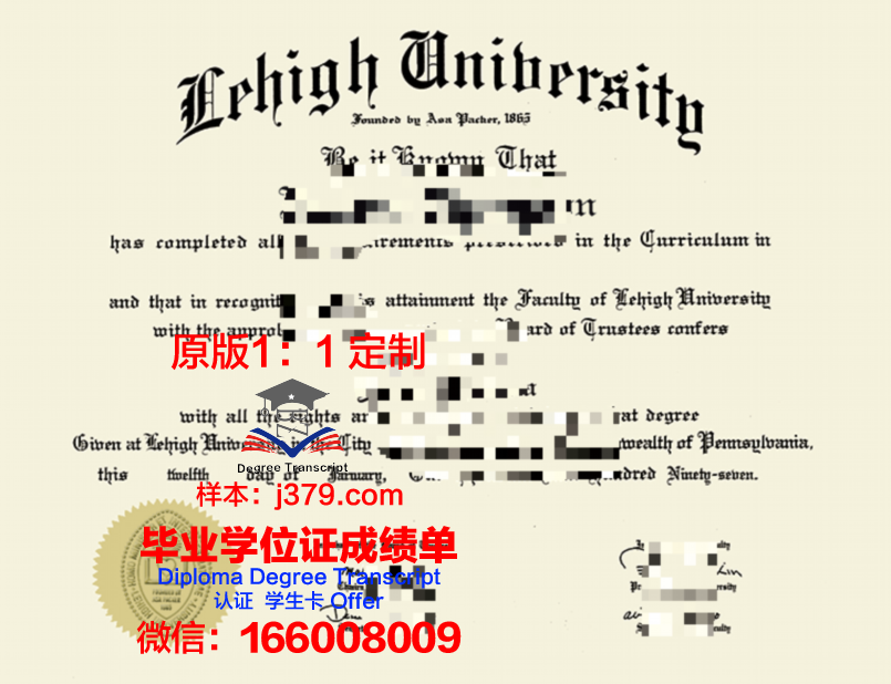 里海大学毕业证书什么颜色(海牙大学毕业证)