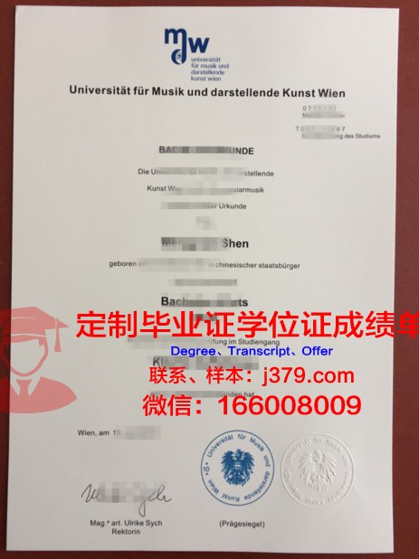 维也纳技术大学毕业证是什么样子(维也纳大学本科)