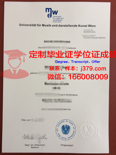 维也纳技术大学毕业证翻译(维也纳大学翻译专业)