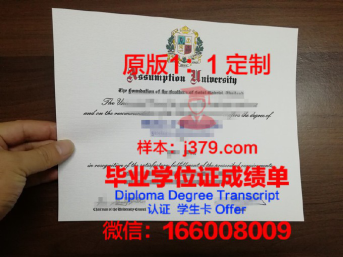 美利坚大学 diploma 毕业证