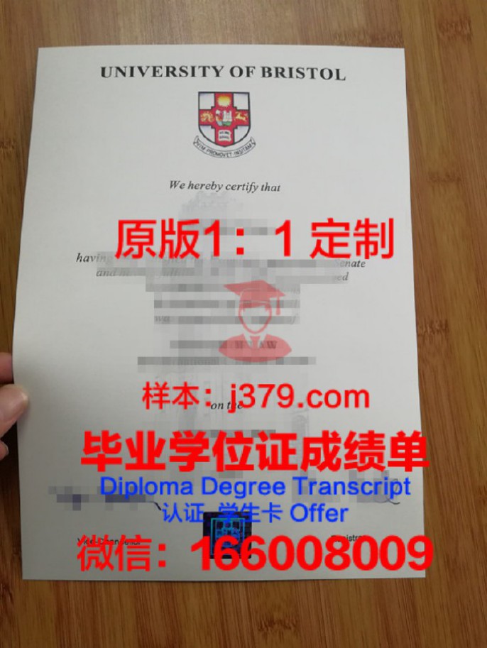 布里斯托大学毕业文凭