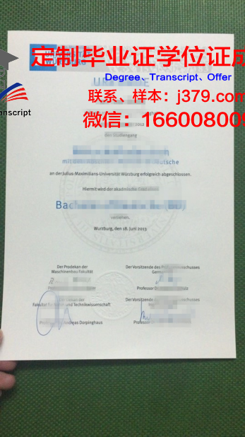 维尔茨堡-施韦因富特应用技术大学毕业证：一份国际认可的学术荣耀