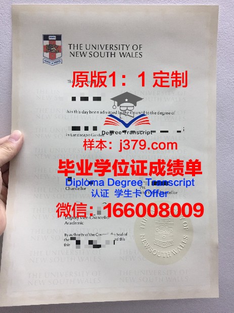 里约热内卢州立大学毕业证书图片模板(里约热内卢联邦大学怎么样)