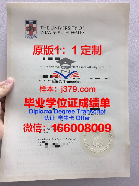 宝迪学院 diploma 毕业证