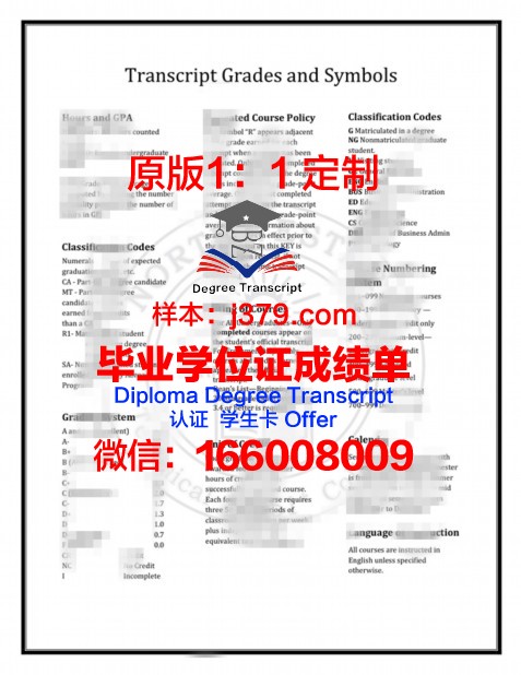 维也纳美术学院毕业证diploma