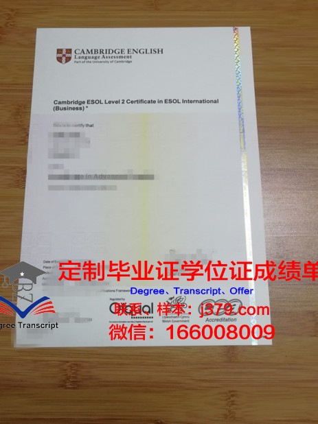 金融与管理大学硕士毕业证书样本(金融专业硕士学位证书)