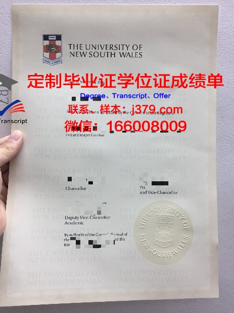 金迪奥大学毕业证壳子(goldsmiths毕业证)