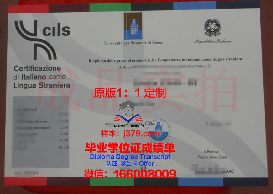 锡耶纳赫兹大学毕业证学位文凭学历Diploma