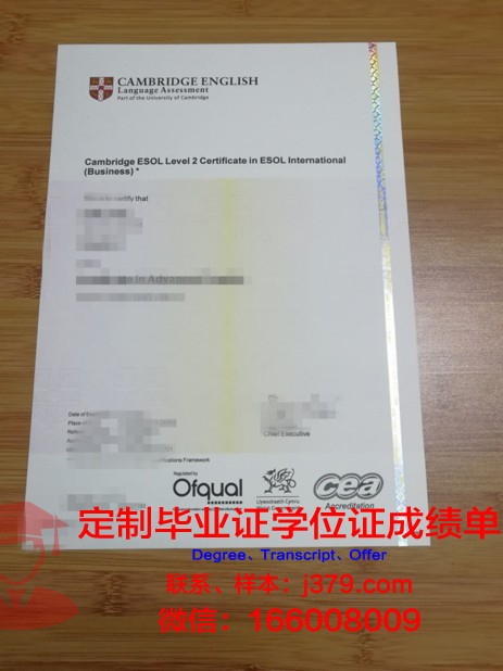 维滕大学博士毕业证书图片大全——探寻学术荣誉的辉煌瞬间