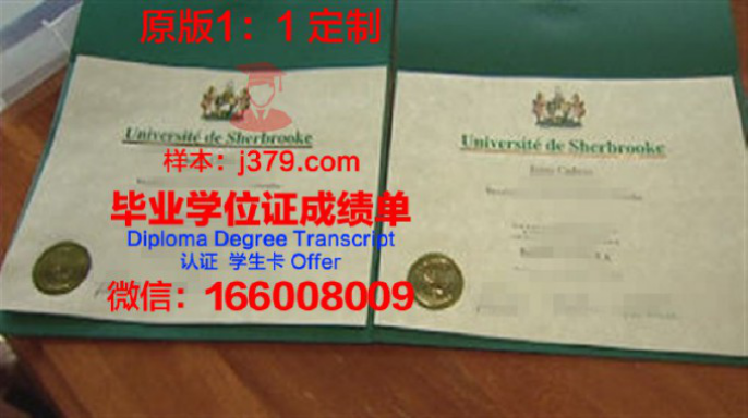 纽约市立大学柏鲁克分校毕业证学位文凭学历Diploma