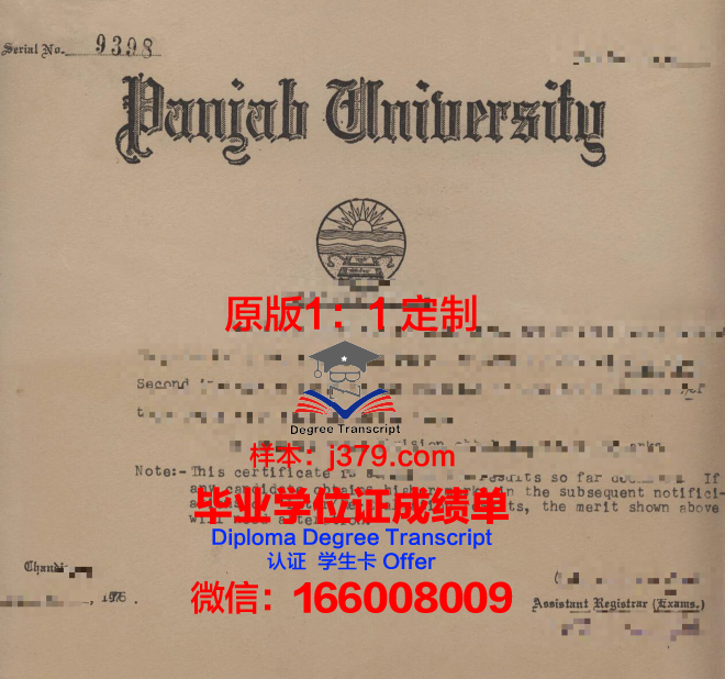 旁遮普大学（巴基斯坦）毕业证照片(巴基斯坦旁遮普语)