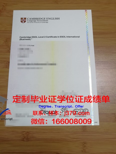 长老会神学大学毕业证书图片(长老教会和普通教会的区别)