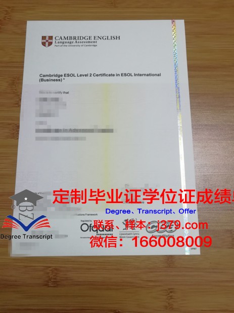 维罗纳大学毕业证书图片(维罗纳照片)