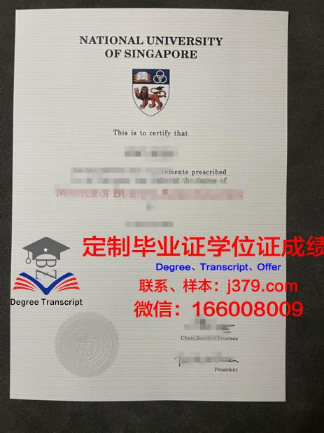 终于找到新加坡国立大学毕业证(新加坡国立大学学位证)