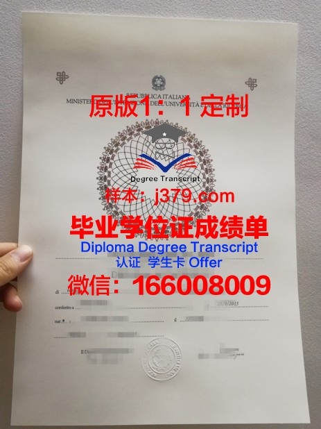 维也纳美术学院毕业证diploma