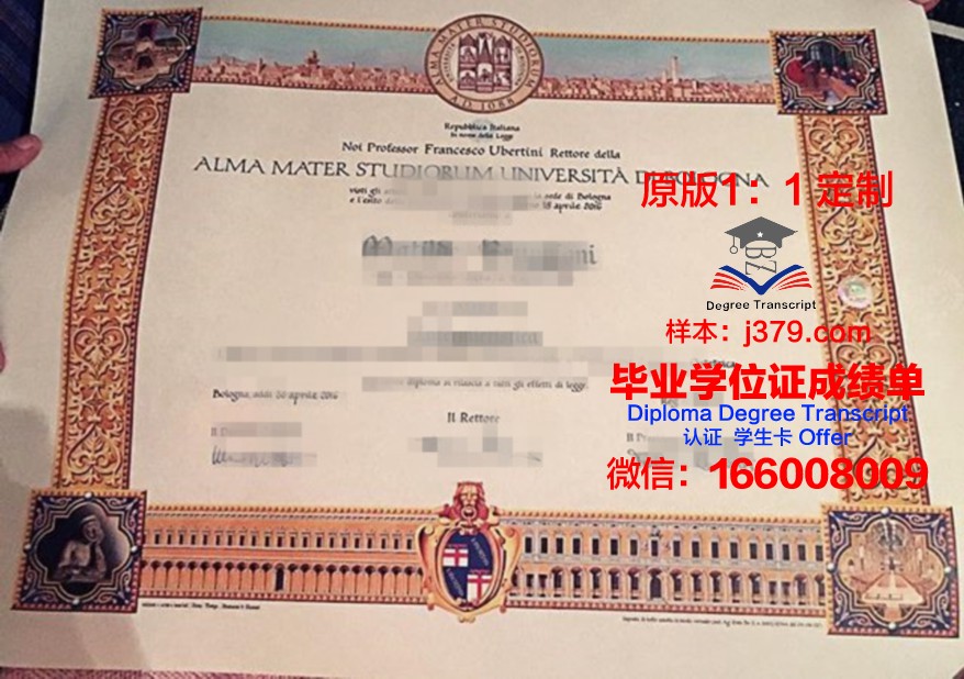 安微尼亚大学毕业证图片Alvernia University Diploma