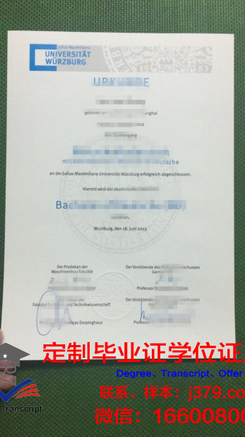 维尔茨堡-施韦因富特应用技术大学diploma证书(维尔兹堡应用科技大学)