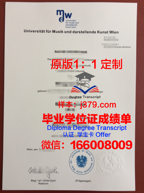 维也纳技术大学毕业证照片(维也纳大学毕业难度)