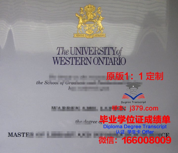 安汉比莫隆比大学文凭